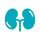 2139-5_Fall Menu Icons_Renal Friendly